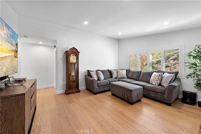 living room featuring light hardwood / wood-style floors