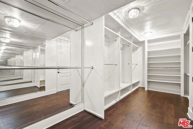 walk in closet with dark wood-type flooring