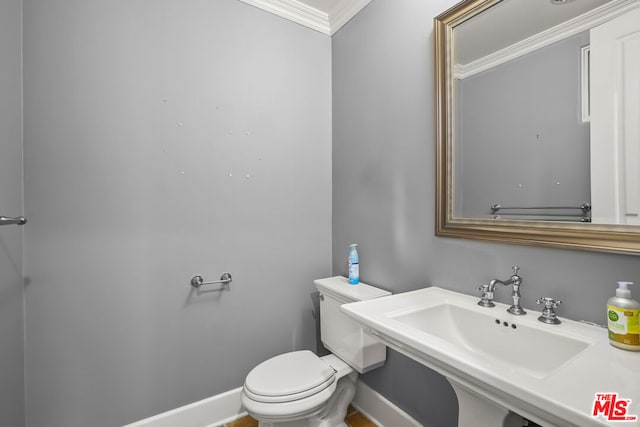 bathroom featuring toilet, crown molding, and sink