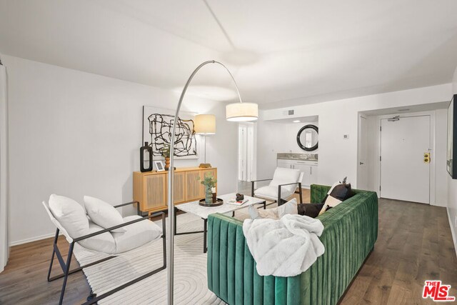 living room featuring wood-type flooring