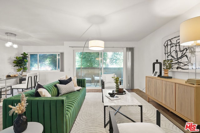 living room with light hardwood / wood-style flooring