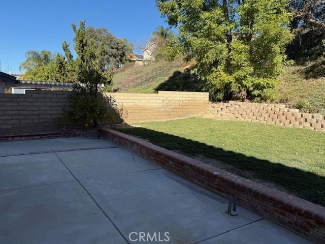 view of yard with a patio area