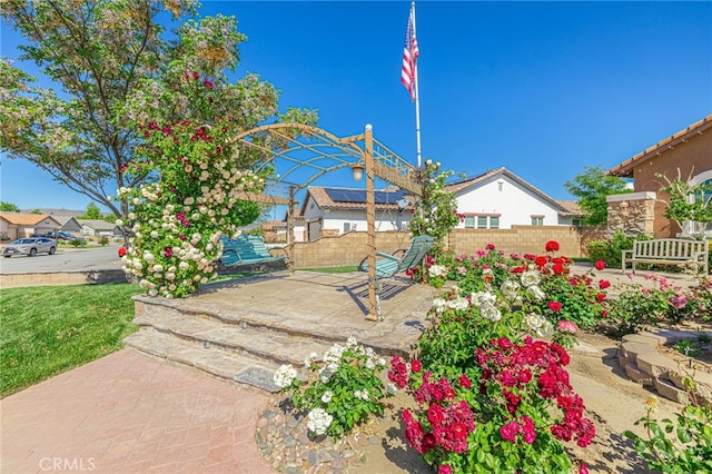 view of yard with a patio