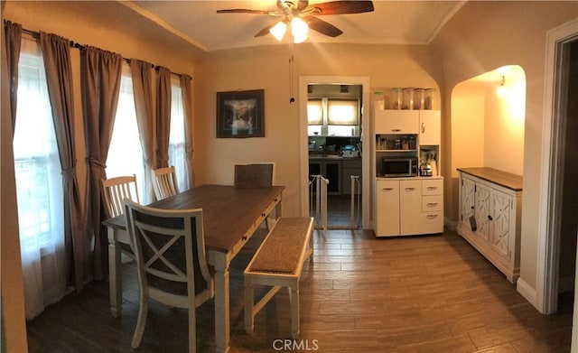 dining room featuring ceiling fan, dark wood-type flooring, and plenty of natural light