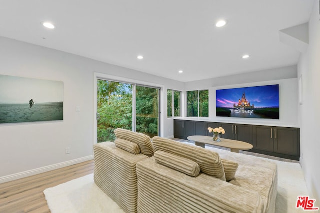 living room featuring light hardwood / wood-style flooring