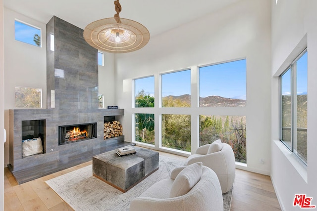 living room with a healthy amount of sunlight, a towering ceiling, a mountain view, and light hardwood / wood-style floors