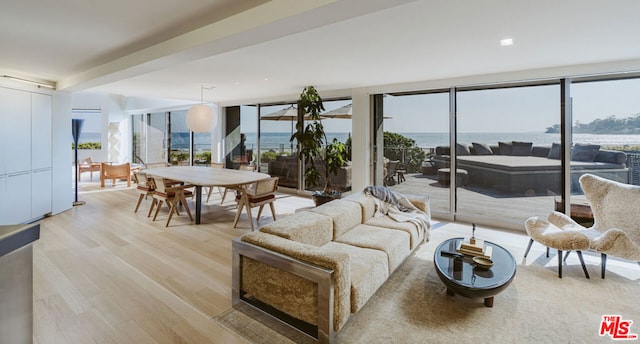 living room with a wall of windows, light hardwood / wood-style floors, and a water view