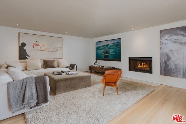 living room with wood-type flooring