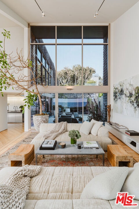 living room with track lighting, a wall of windows, and hardwood / wood-style flooring