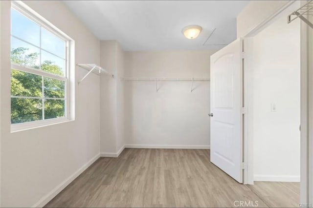 spacious closet featuring light hardwood / wood-style flooring