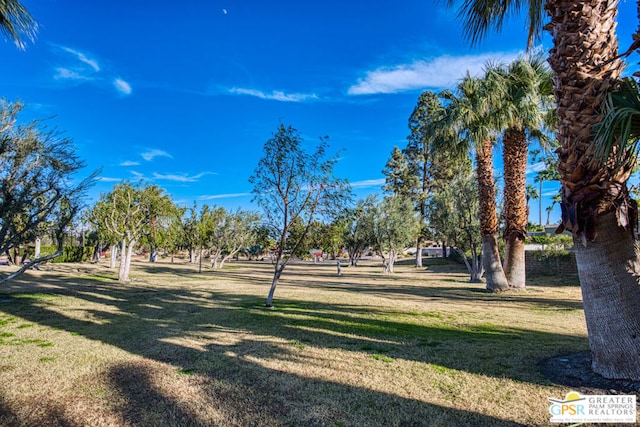 surrounding community featuring a yard