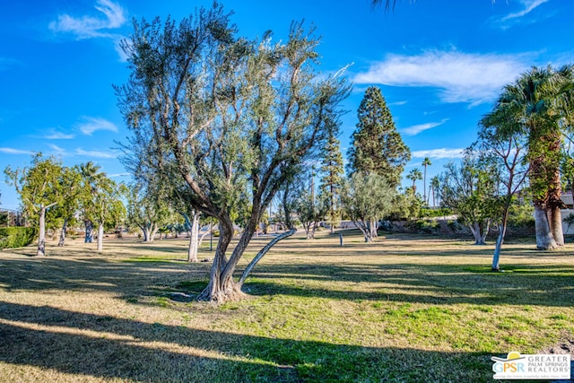 surrounding community featuring a lawn