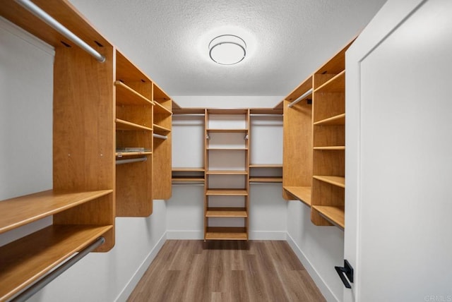 spacious closet with light wood-type flooring