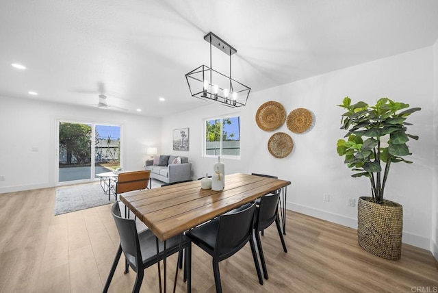 dining area with ceiling fan and light wood-type flooring