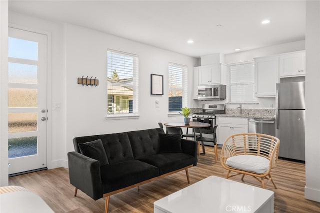 living room with sink and light hardwood / wood-style flooring