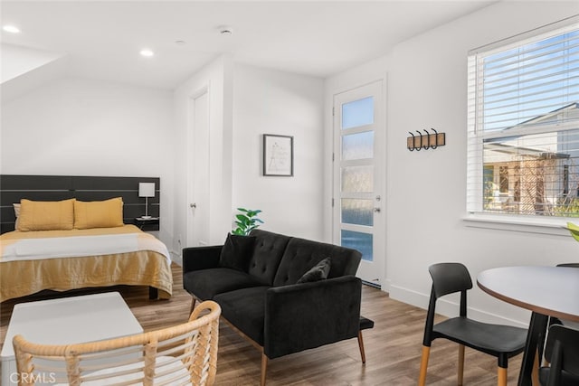 bedroom featuring multiple windows and hardwood / wood-style floors