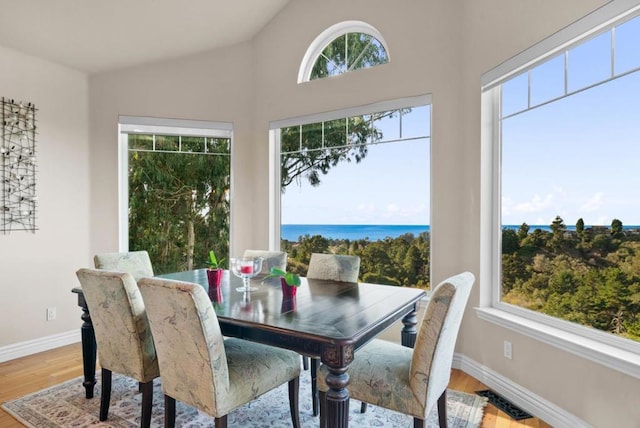 dining room featuring lofted ceiling, hardwood / wood-style floors, and a water view