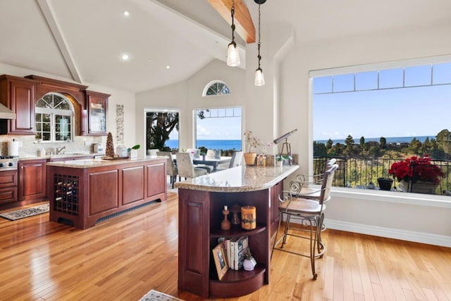 kitchen featuring plenty of natural light, decorative light fixtures, light hardwood / wood-style flooring, and backsplash