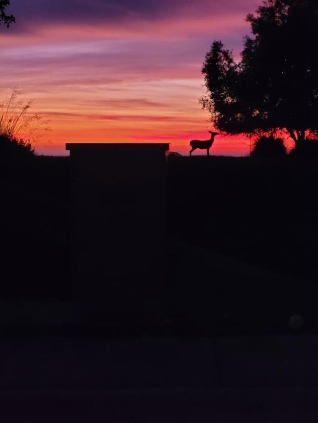 view of yard at dusk