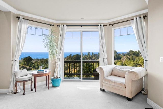 sitting room featuring carpet and a water view