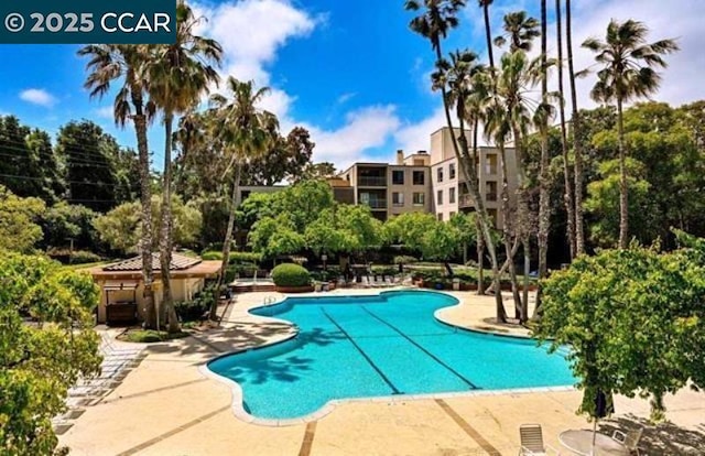 view of pool featuring a patio