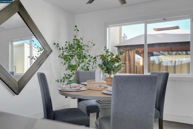 dining area with ceiling fan