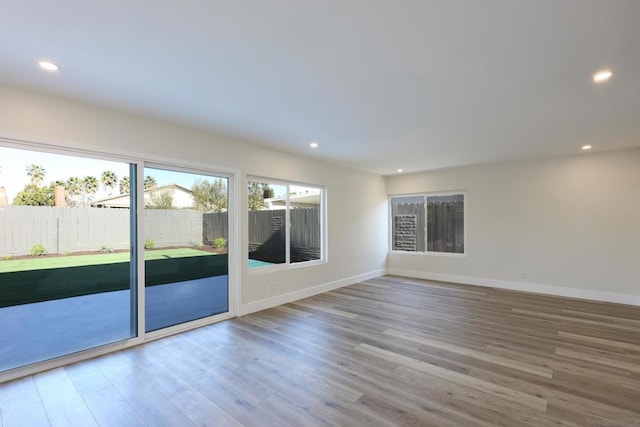 spare room featuring wood-type flooring