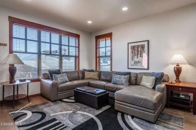 living room with hardwood / wood-style floors and a wealth of natural light