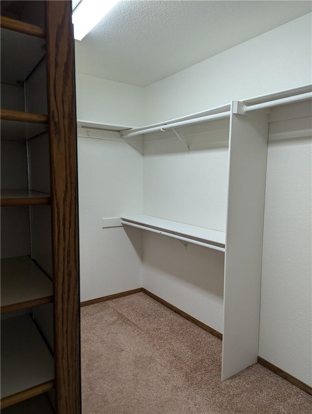 walk in closet with light colored carpet