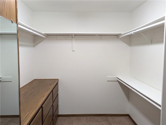 walk in closet with light carpet