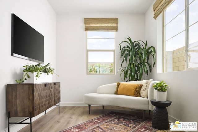 sitting room featuring wood-type flooring