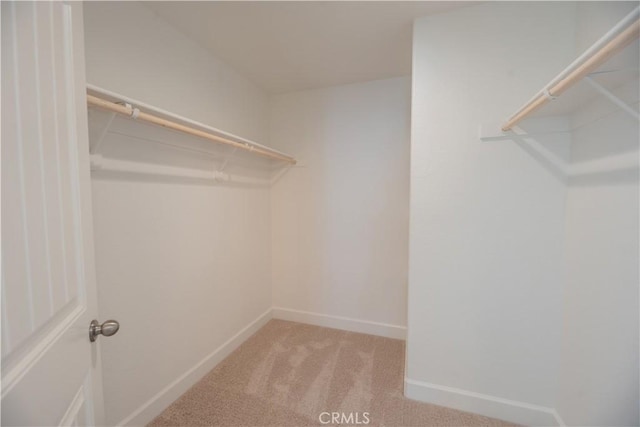 walk in closet with light colored carpet