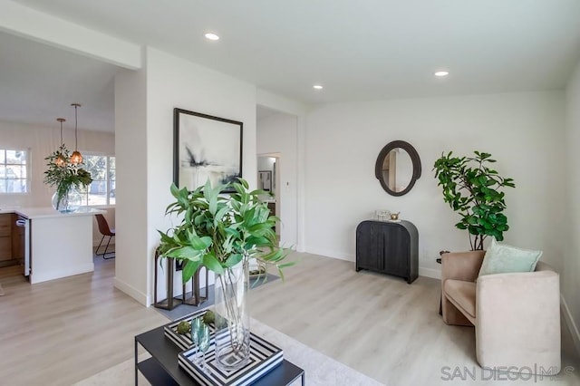 living room featuring light hardwood / wood-style floors