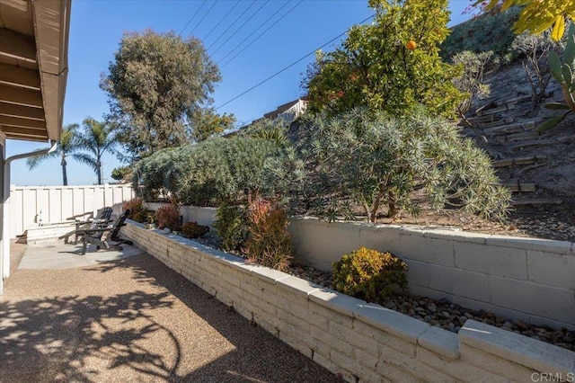 view of yard with a patio area