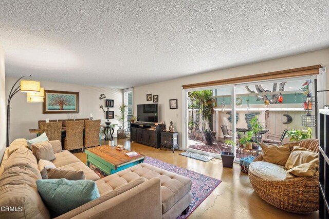 living room with a textured ceiling