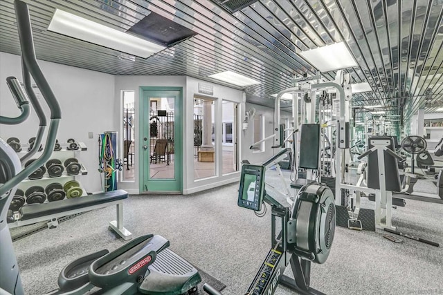 exercise room featuring carpet