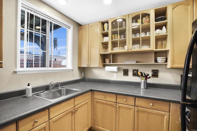 kitchen featuring black refrigerator, light brown cabinetry, and sink