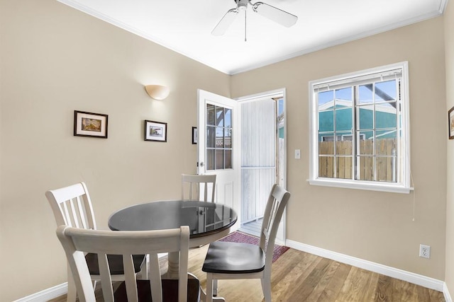 dining room with ceiling fan, ornamental molding, and wood-type flooring