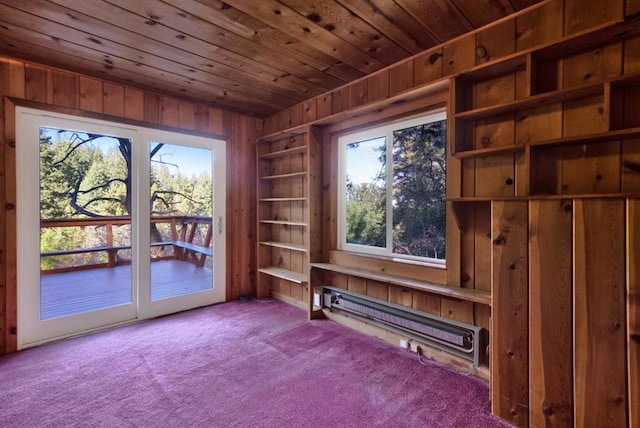 miscellaneous room with a wealth of natural light, wood ceiling, wood walls, and a baseboard radiator