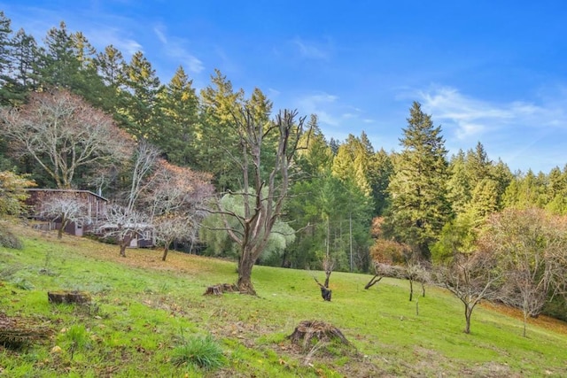 view of yard with a rural view