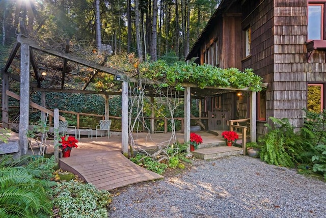 view of yard with a patio area