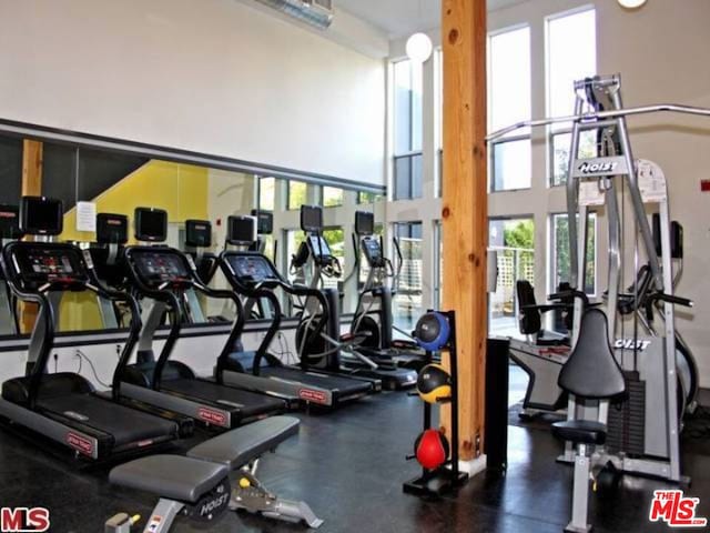 exercise room featuring a high ceiling