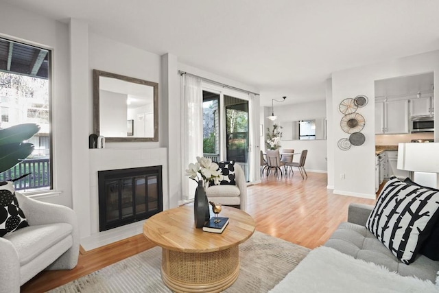 living room with light hardwood / wood-style floors