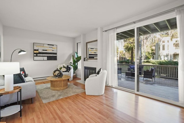 living room featuring wood-type flooring and baseboard heating