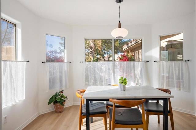 dining area with plenty of natural light and light hardwood / wood-style flooring