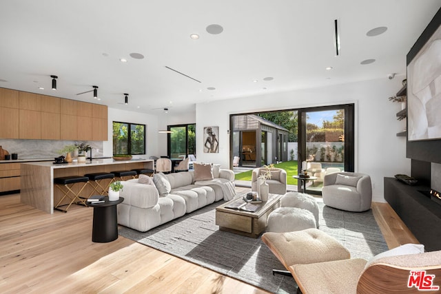 living room with light hardwood / wood-style flooring