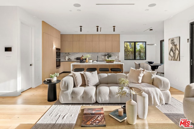 living room featuring light wood-type flooring and sink