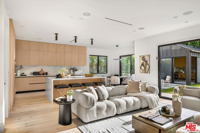 living room with light wood-type flooring and sink