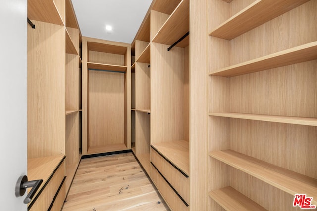 spacious closet featuring light hardwood / wood-style flooring