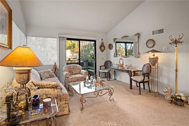 sitting room featuring high vaulted ceiling and carpet